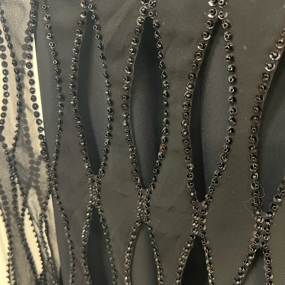 NWT Zara Sequin Beaded Fringe Dress - Picture 11 of 16